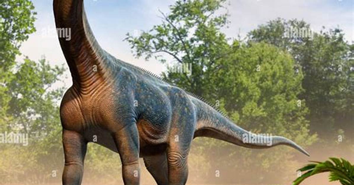Is There a Camarasaurus?