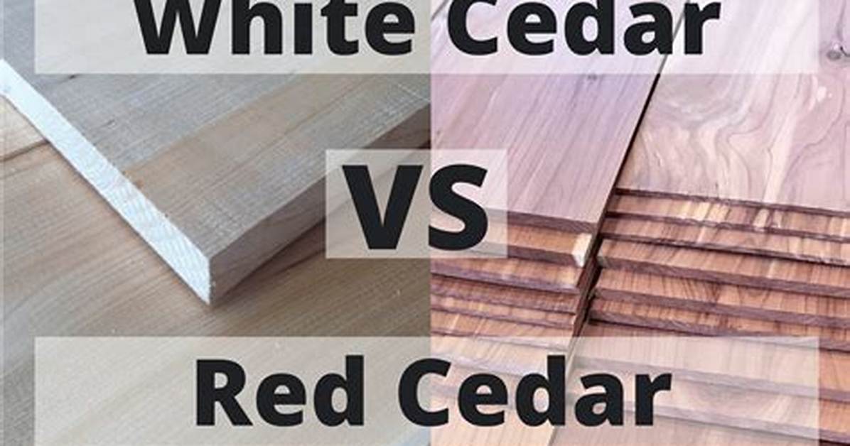 Is There a Difference Between Cedar and Red Cedar