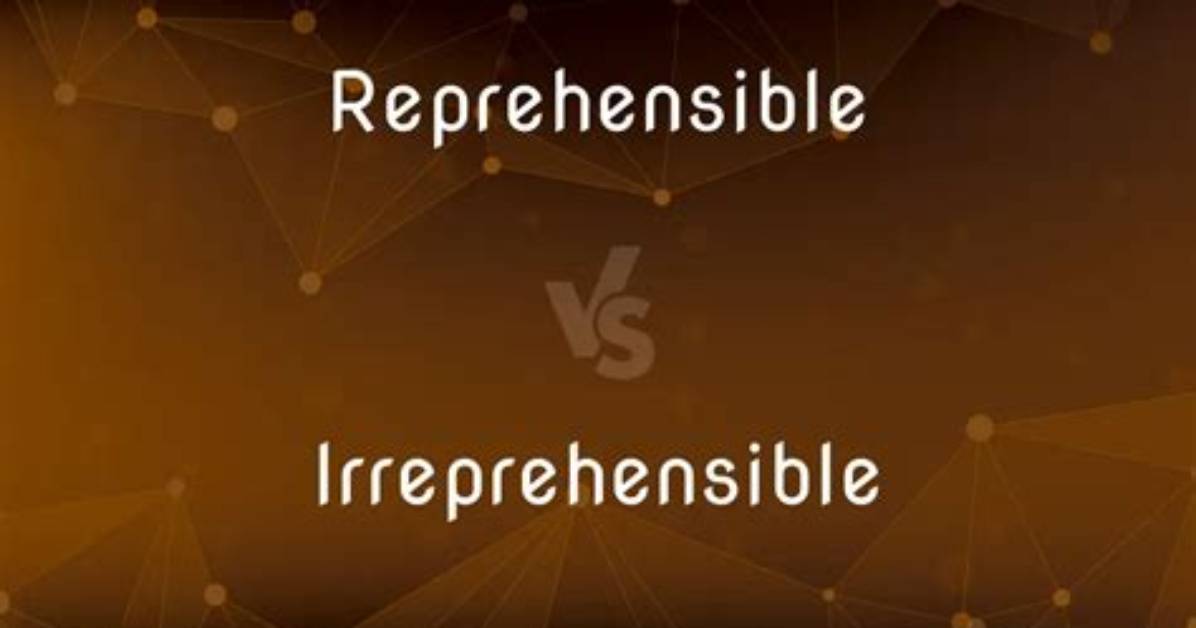 Is There a Difference Between Reprehensible and Irreprehensible?
