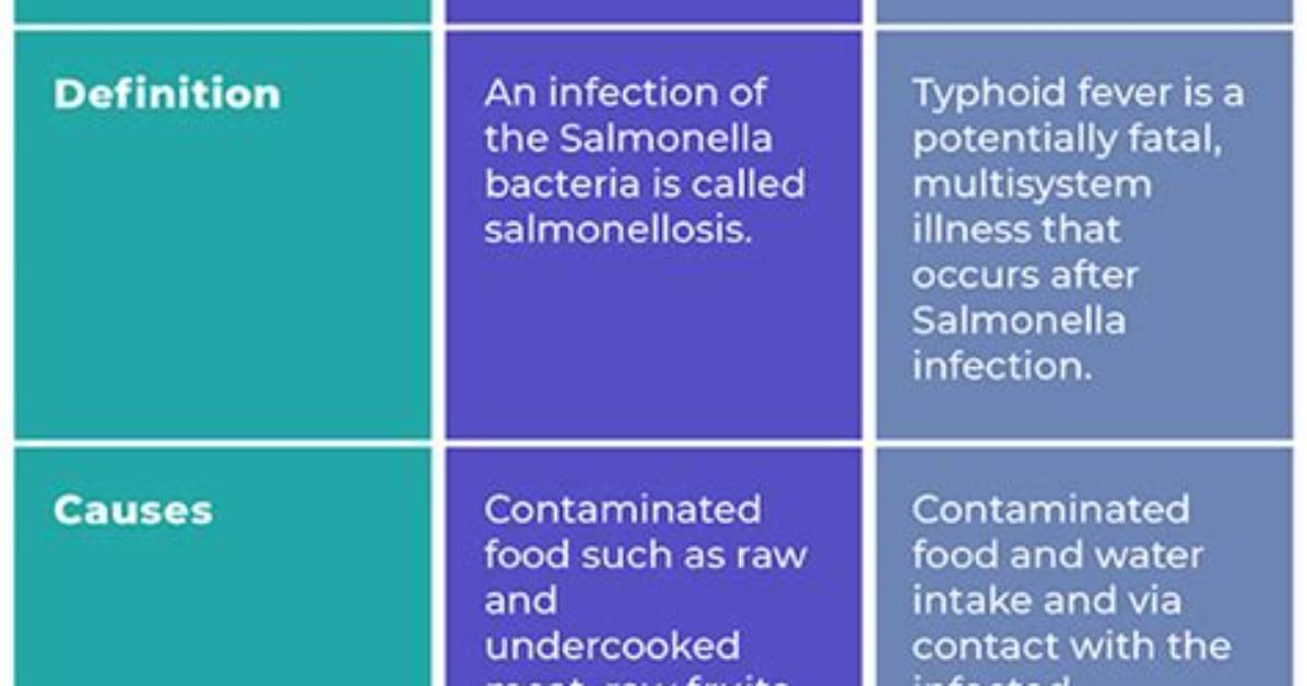 Is There a Difference Between Typhoid and Typhus?