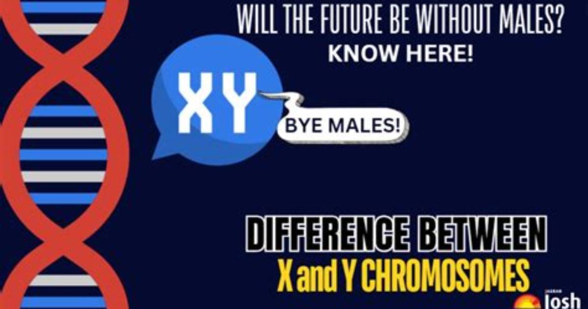 Is There a Difference Between X++ and ++X in Java?