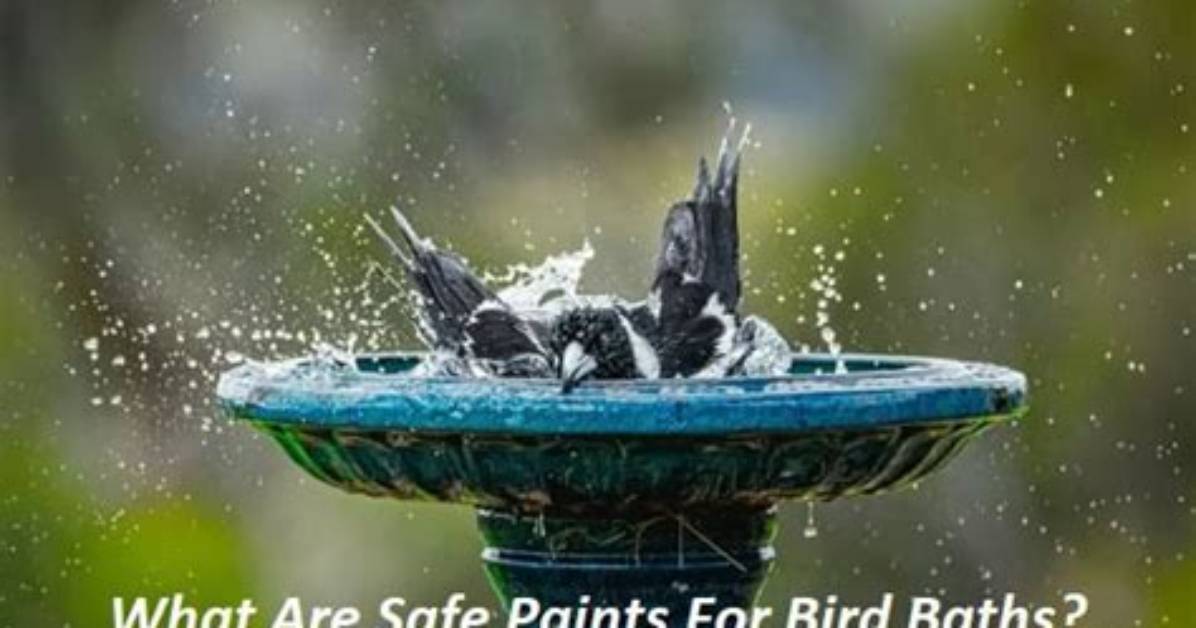 Is There Bird Safe Paint