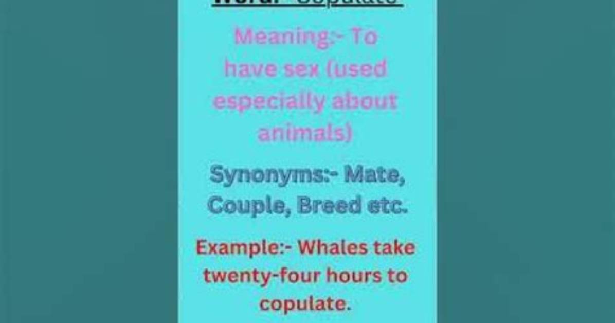 Is There Such a Word as Copulate?