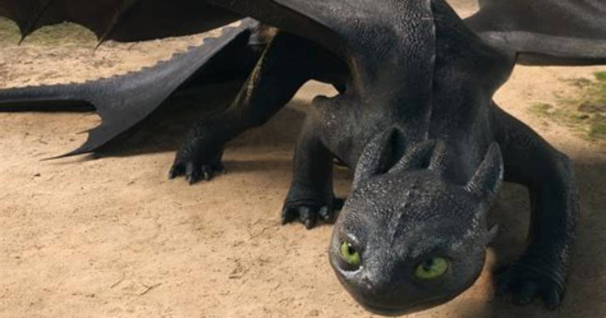 Is Toothless a Real Word?