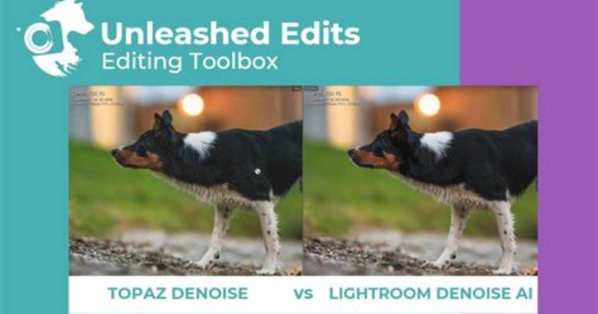 Is Topaz Denoise Better Than Lightroom?