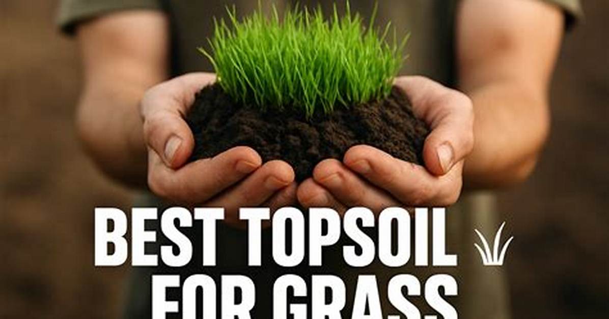 Is Topsoil Good for Grass