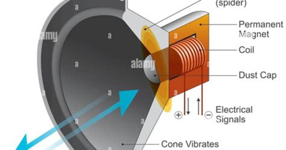 Is Transducer a Speaker?