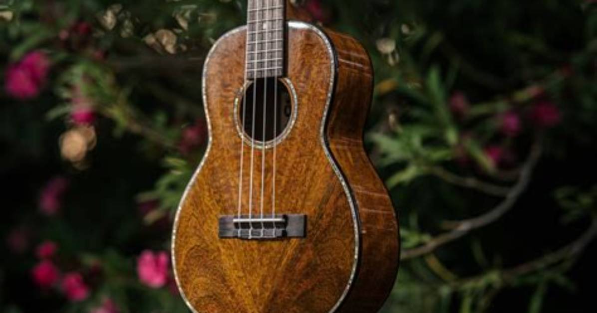 Is Ukulele Worth It?