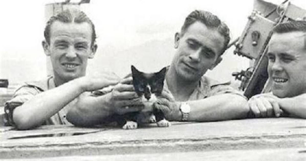 Is Unsinkable Sam Real?