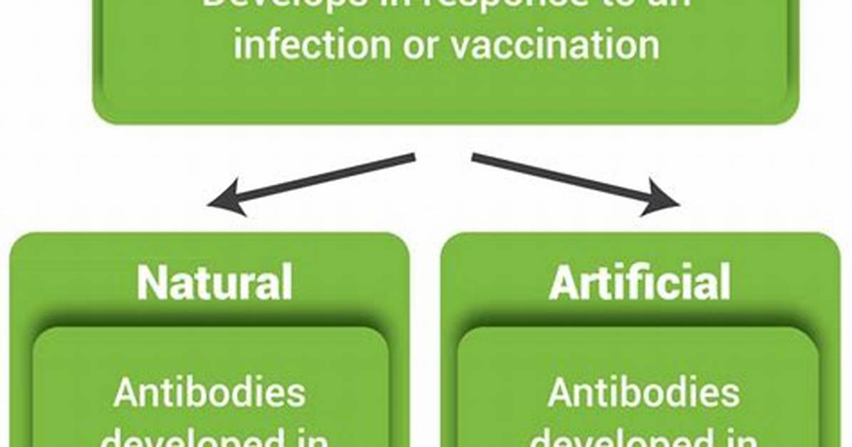 Is Vaccination Active Immunity or Passive