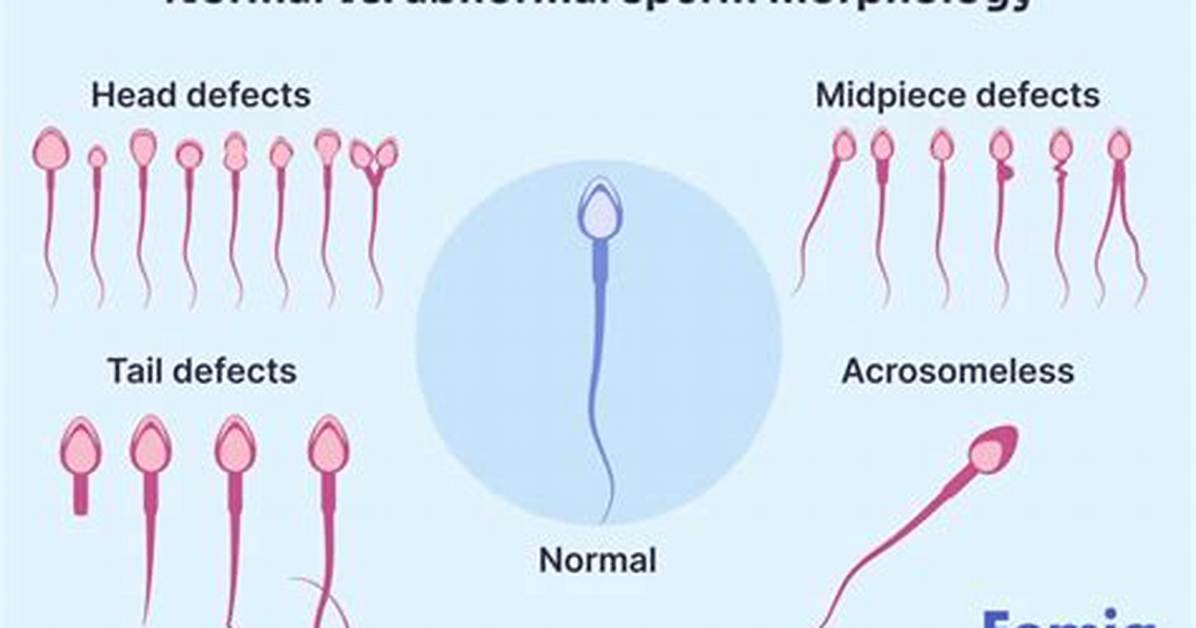 Is Viscous Sperm Normal