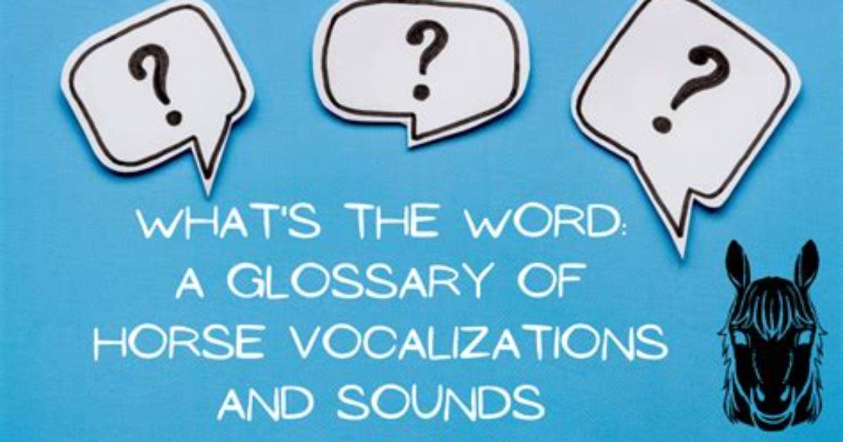 Is Vocalizations a Word?