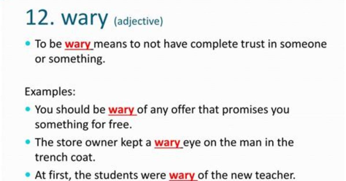 Is Wary an Adjective?