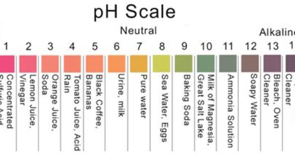 Is Water pH Neutral