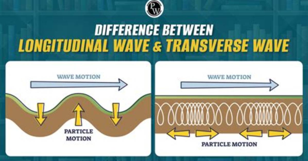 Is Water Wave Longitudinal?