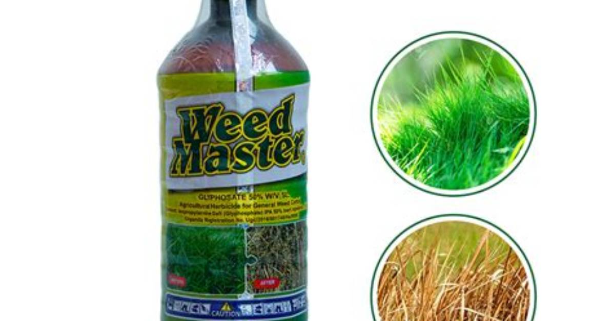 Is Weedmaster Toxic
