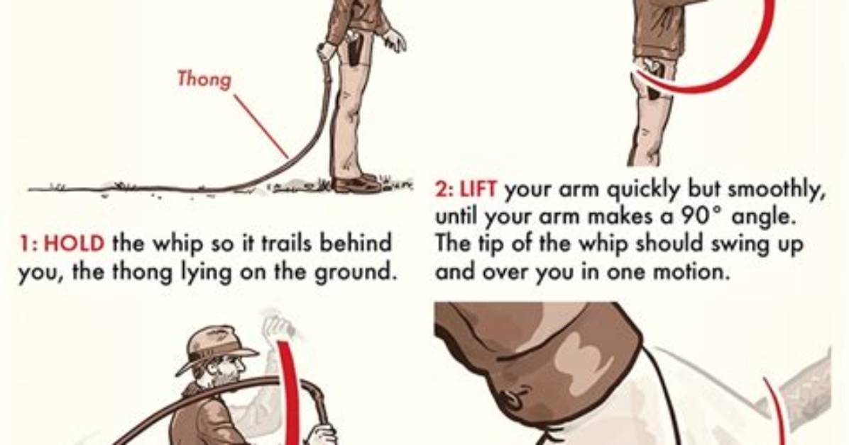 Is Whip Cracking Illegal?
