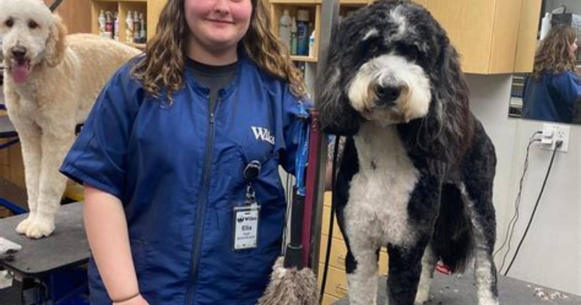 Is Wilco Pet Friendly?