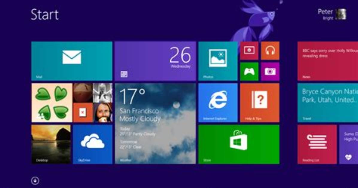 Is Windows 8 a System Software?