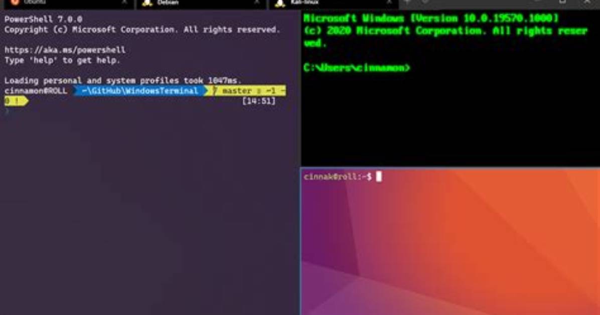 Is Windows a Linux Terminal?