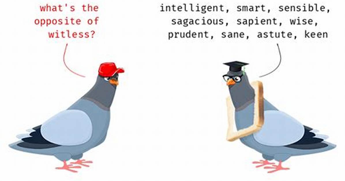 Is Witless a Adjective?