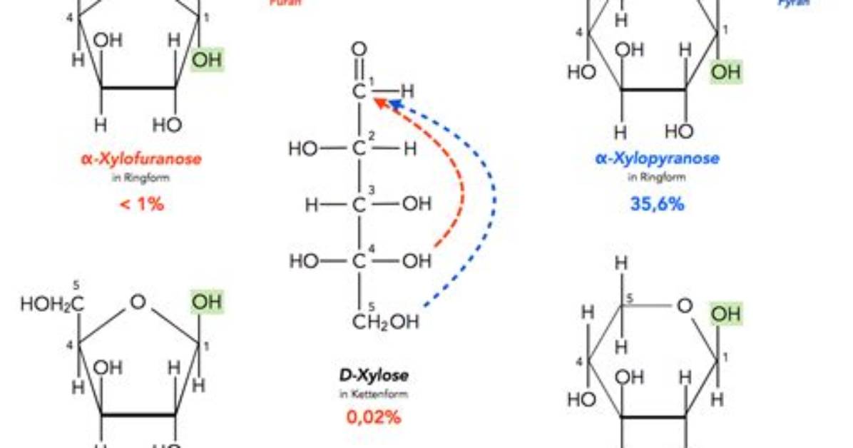 Is Xylose a Polysaccharide?