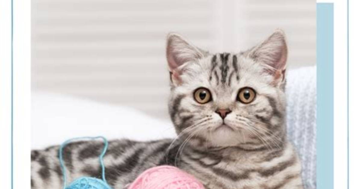 Is Yarn a Safe App