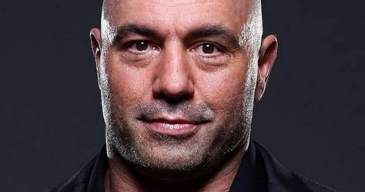James Rogan Net Worth