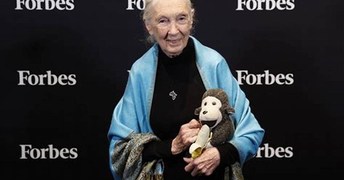 Jane Goodall Mort