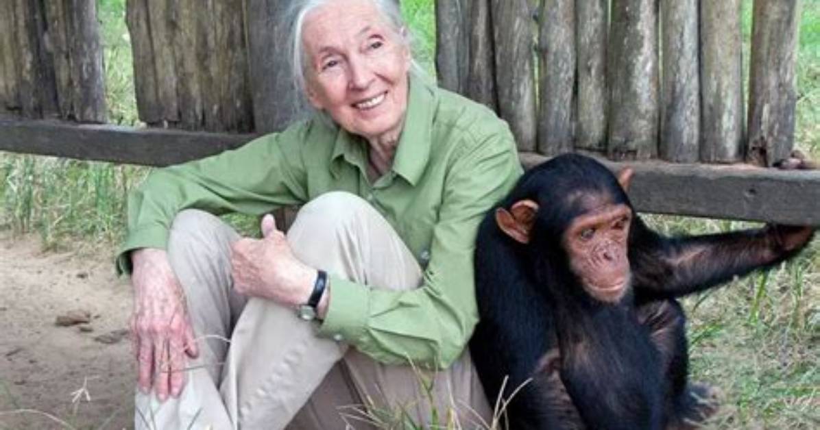 Jane Goodall Net Worth