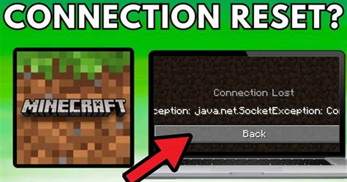 Java. Net. Socketexception: Connection Reset