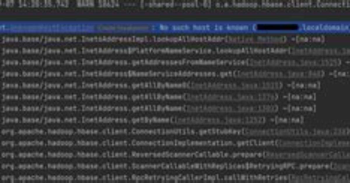Java. Net. Unknownhostexception: Invalid Hostname for Server: Local