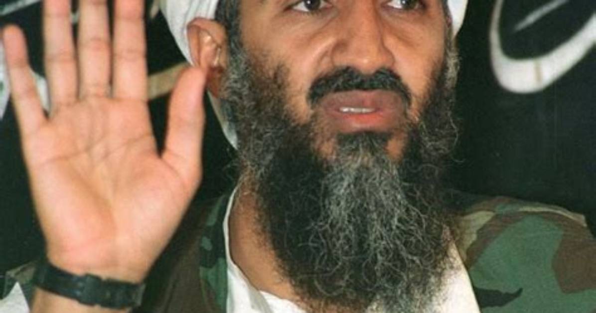 Jb Bin Laden Net Worth