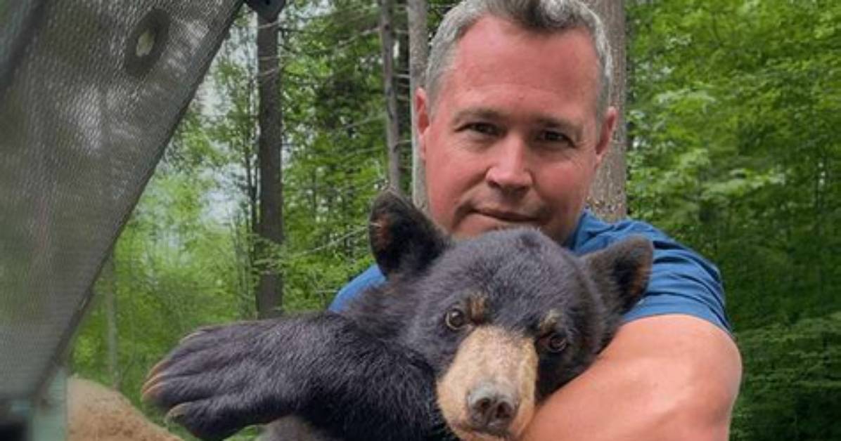Jeff Corwin Net Worth