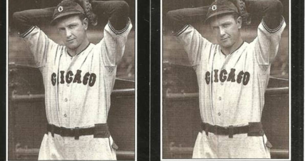John Whitehead (Baseball)
