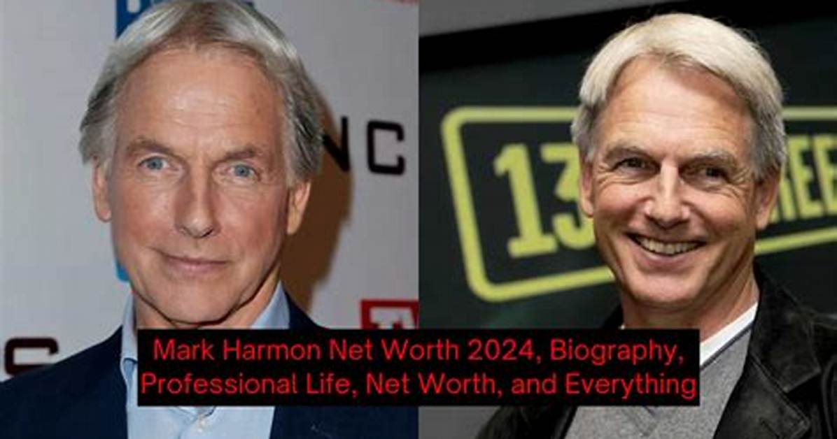 Josh Harmon Net Worth 2024