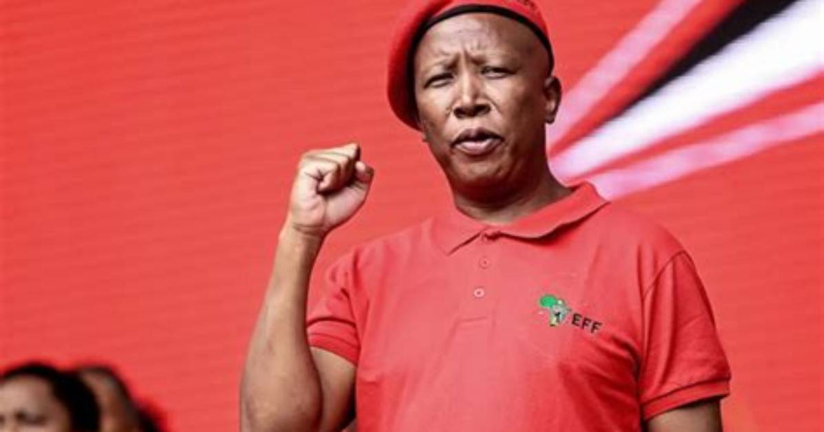 Julius Malema