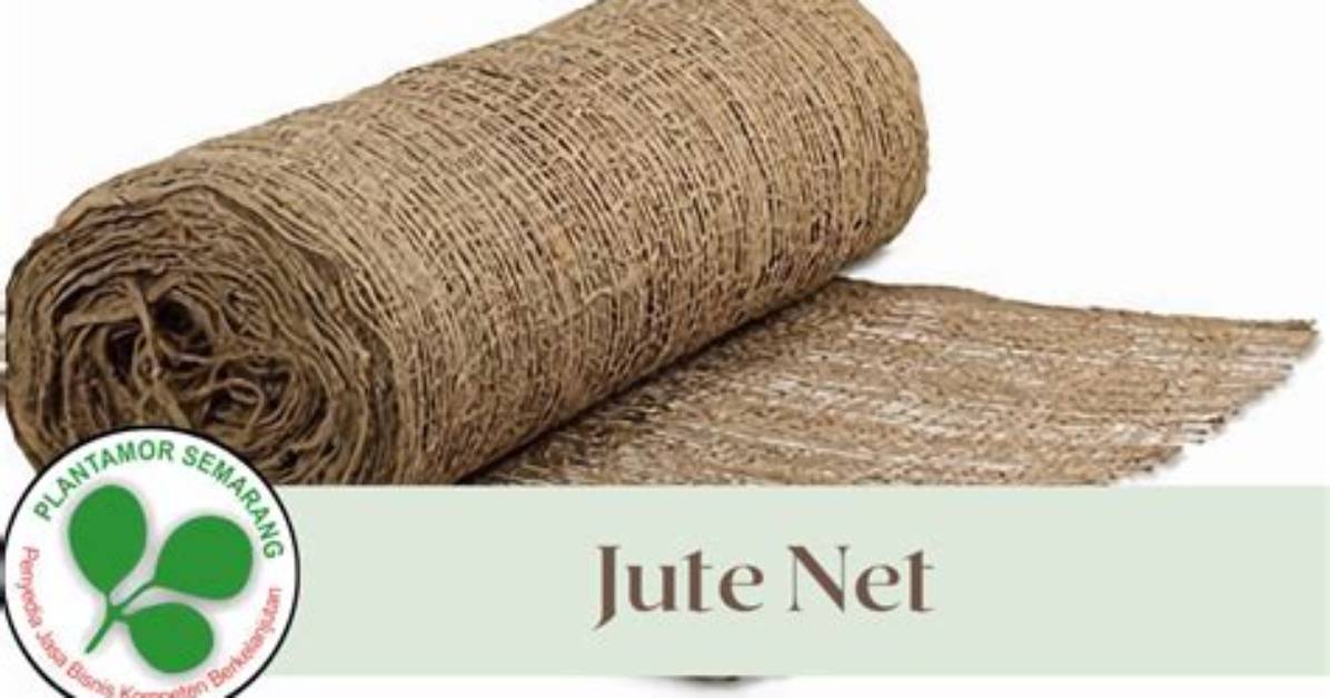 Jute Net Worth