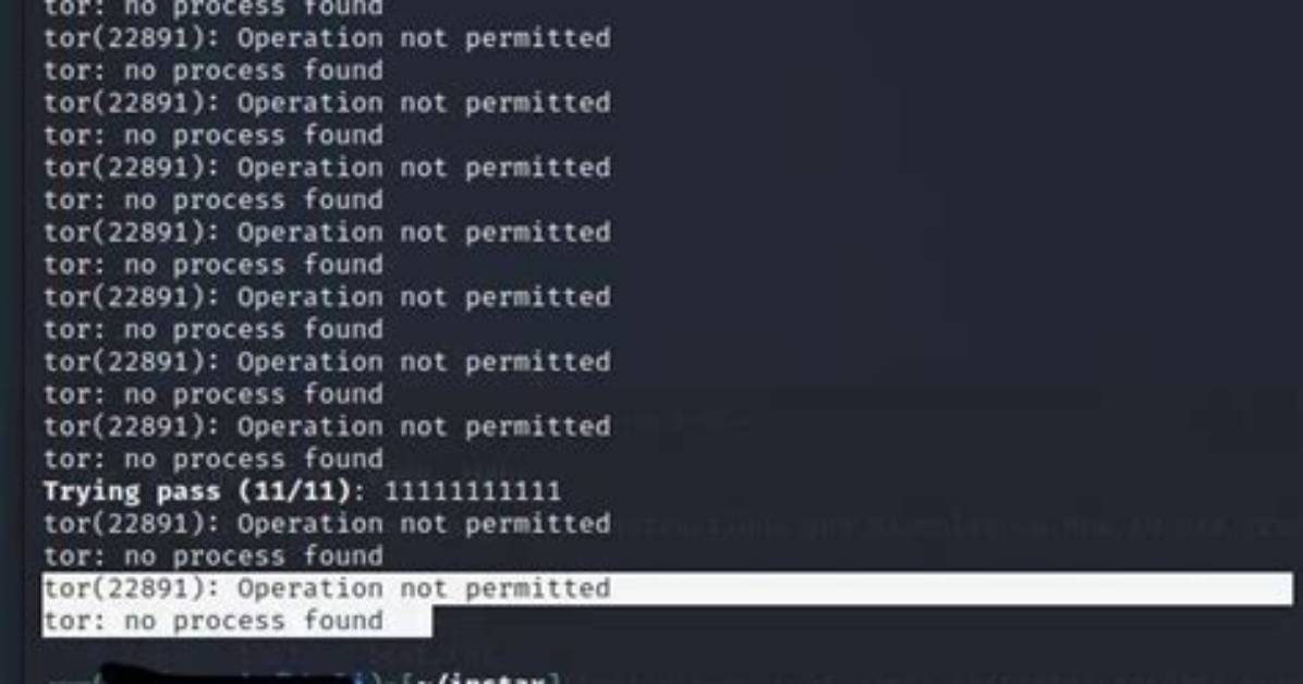 Kali Linux Vscode Python - Operation Not Permitted Run Python File with Internal Terminal