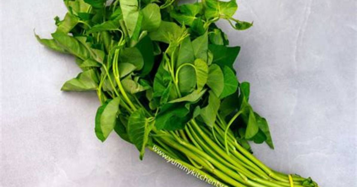 Kangkong in English - How to Discuss