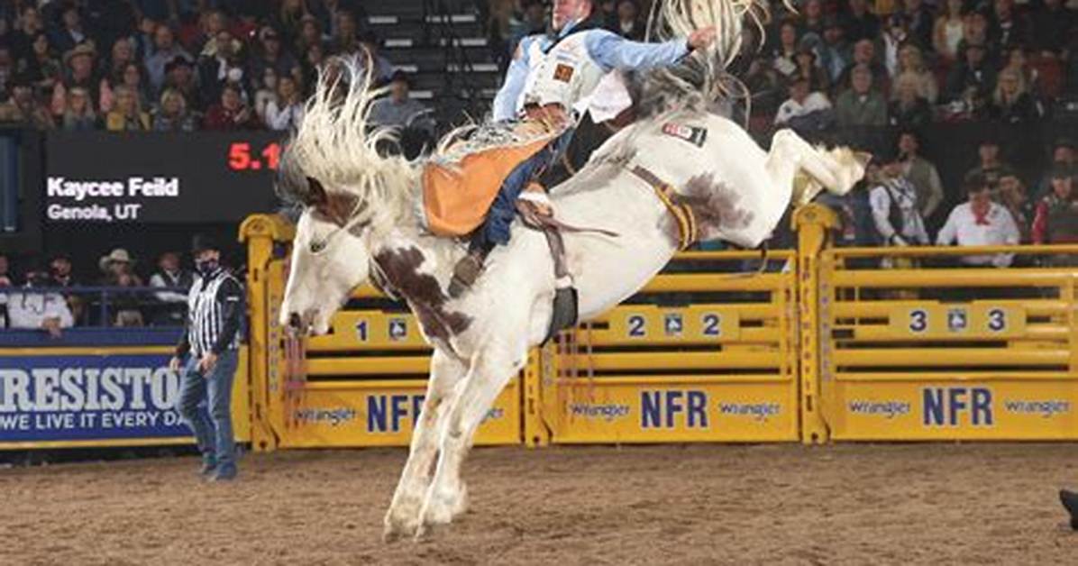 Kaycee Feild