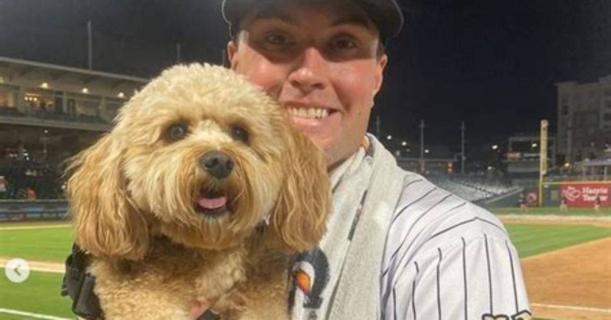 Kc Mcclure Net Worth