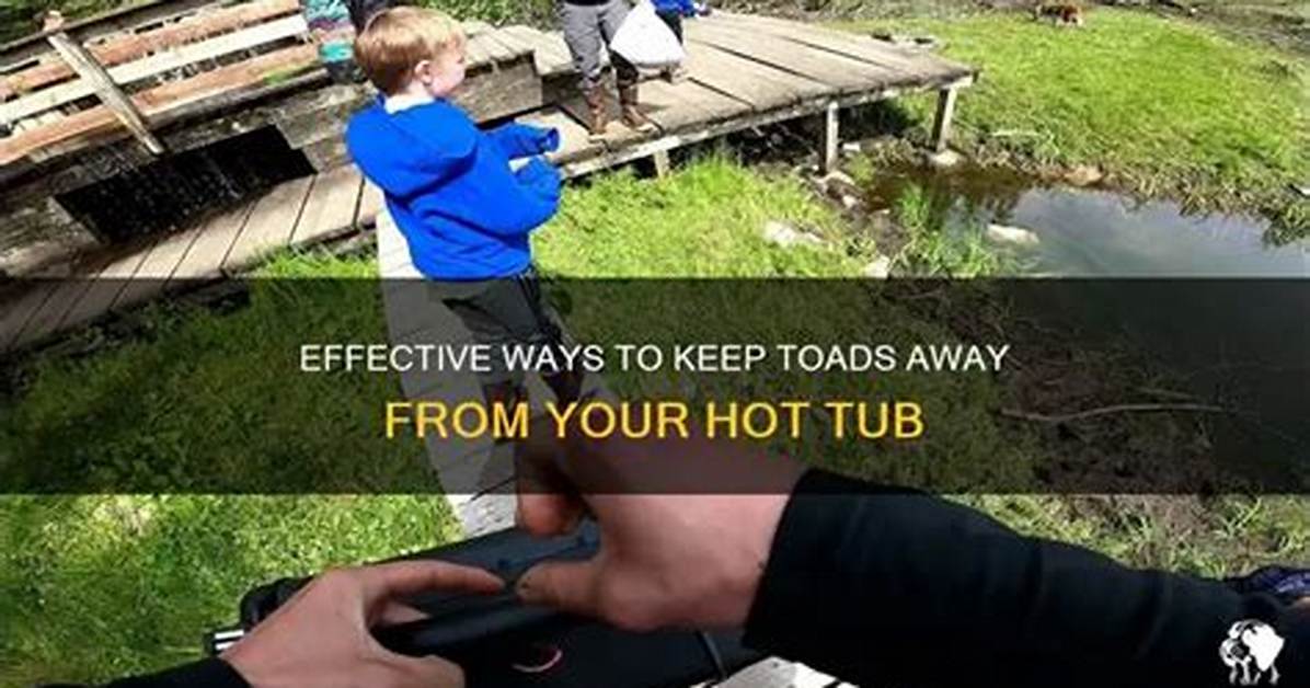 Keep Your Dog Away from Hot Tubs This Summer, Warn Vets