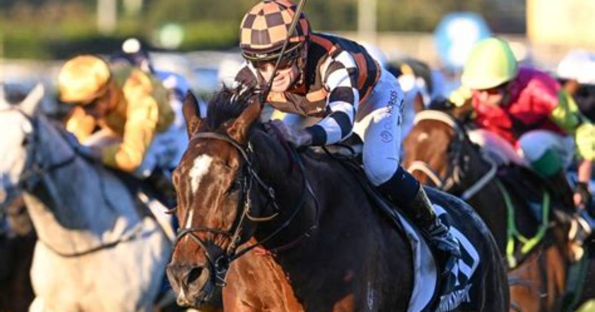 Kiwi Apprentice Jockey Killed in Ashburton Race Fall