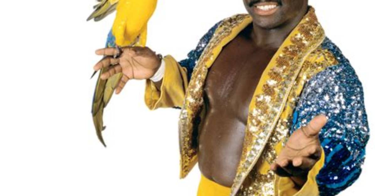 Koko B. Ware