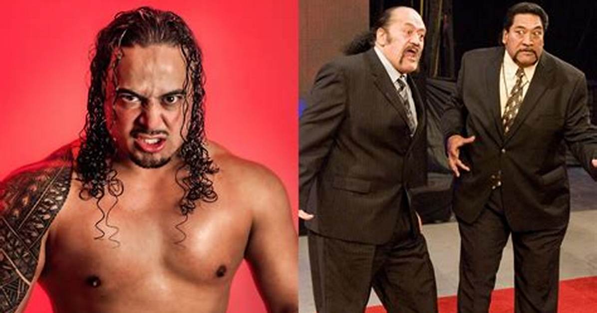 Lance Anoa'i Net Worth