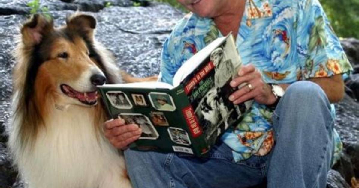 'Lassie' & Classic Tv's Most Iconic Dogs