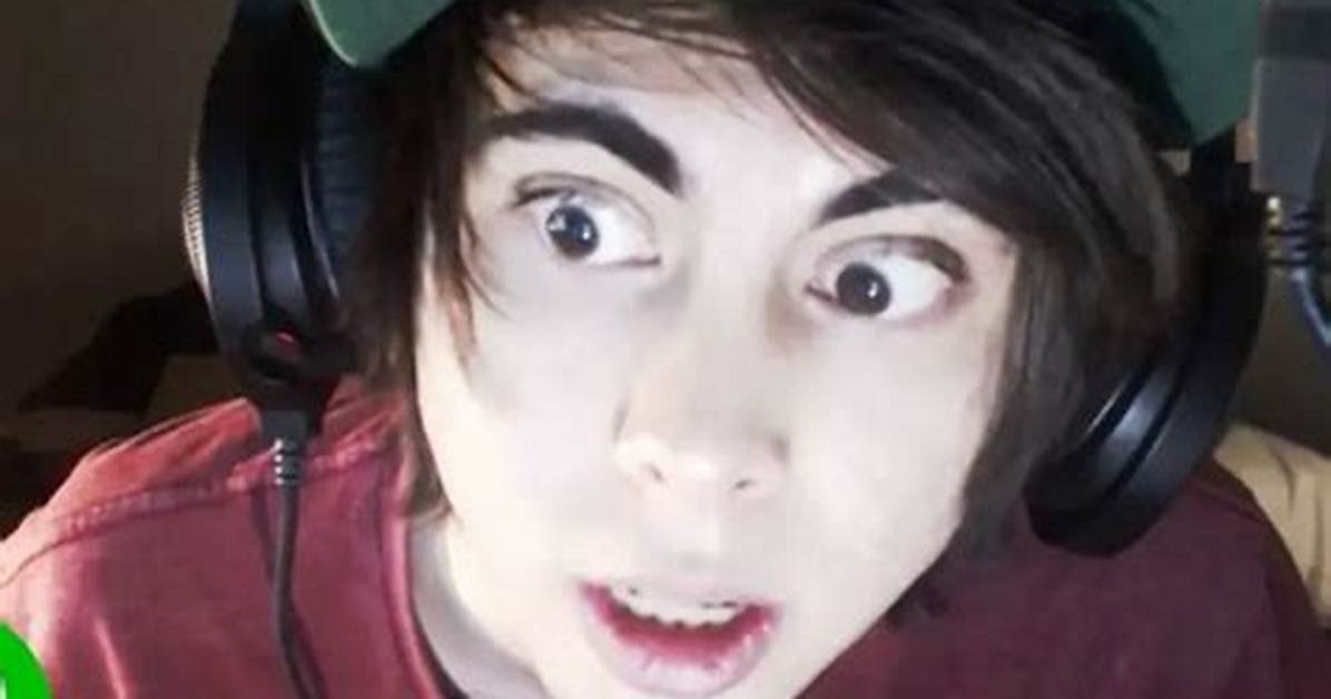 Leafyishere Net Worth