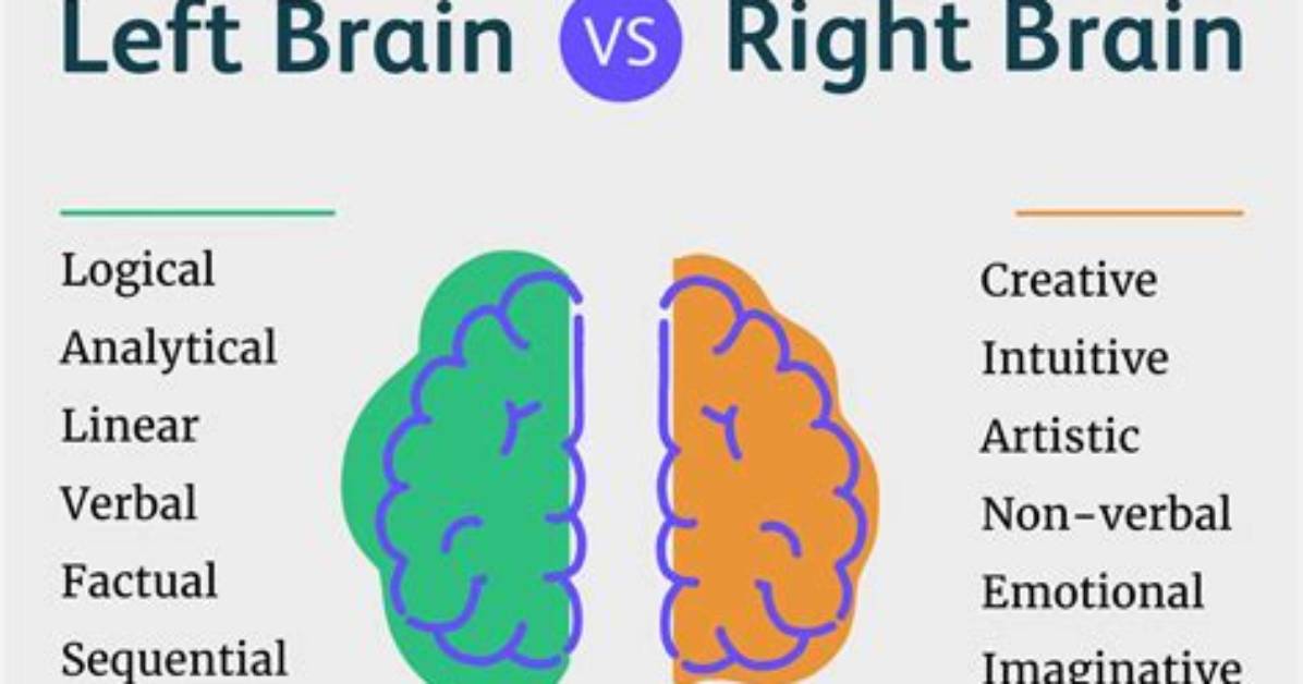 Left Brain