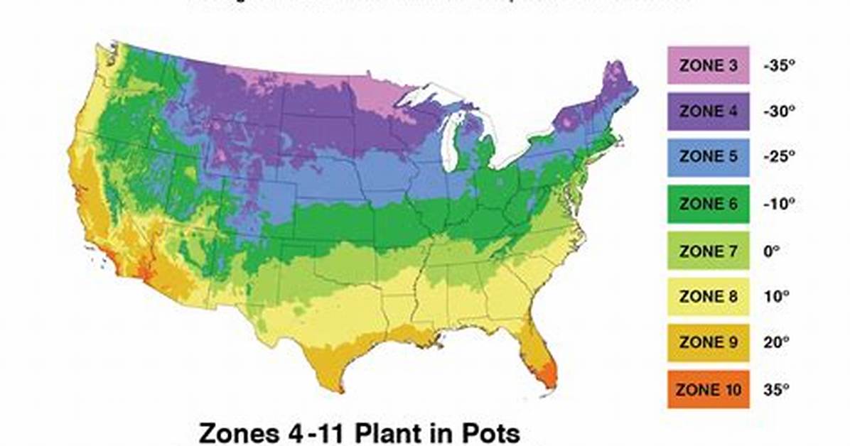 Lemon Tree Growing Zone